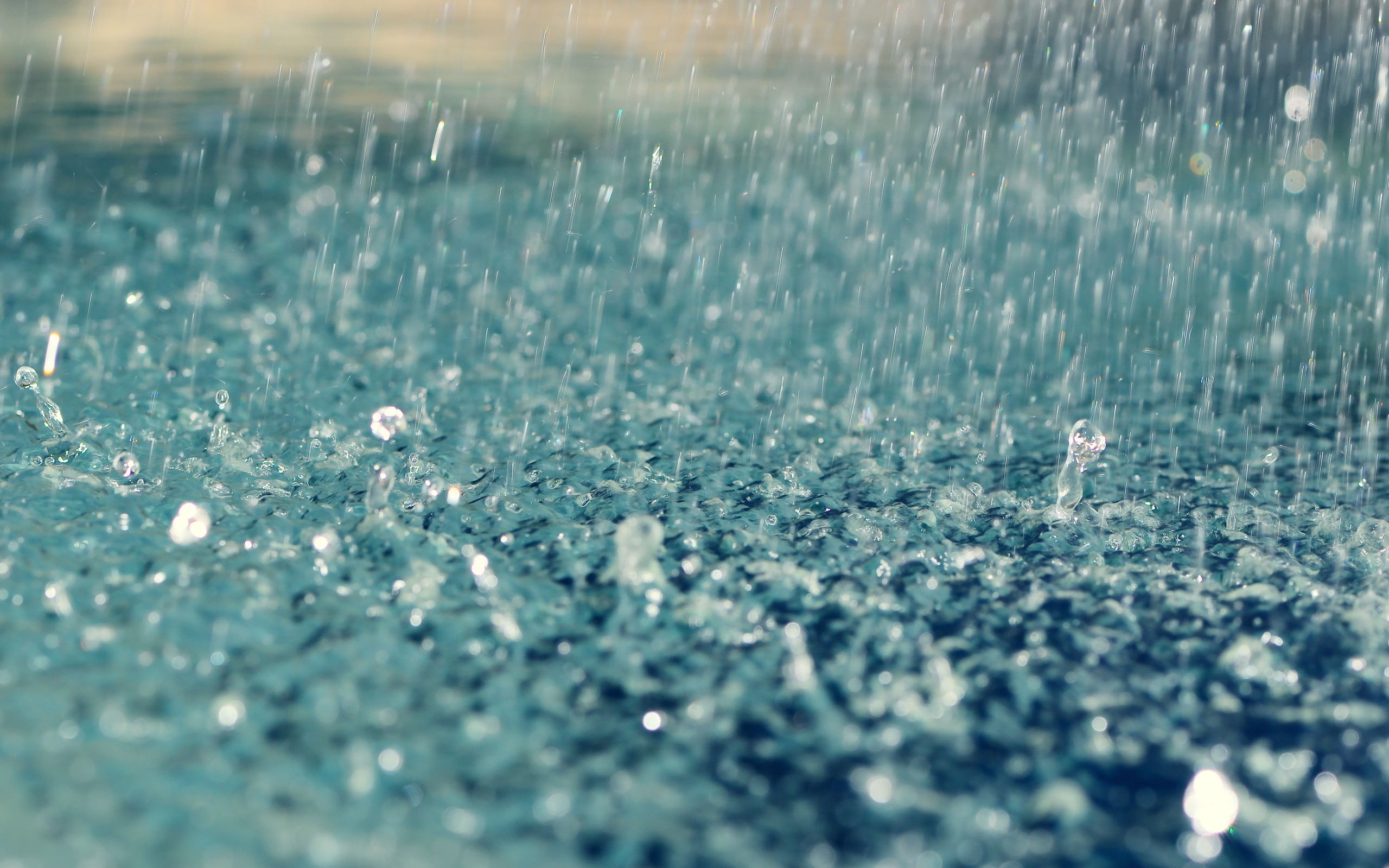 Beautiful Rain Drops Wallpaper