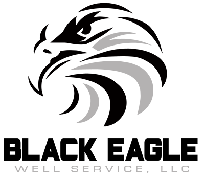 Black and White Eagle Logo