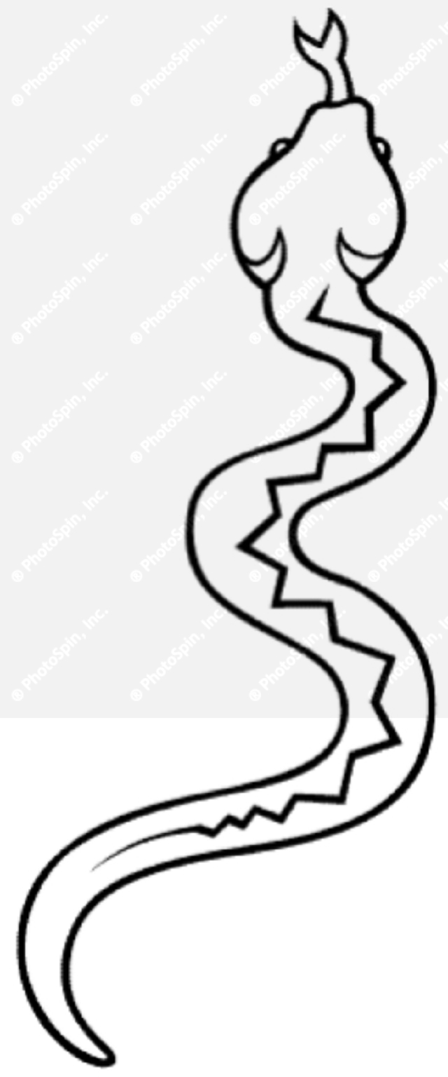 Cute Cartoon Black and White Snake