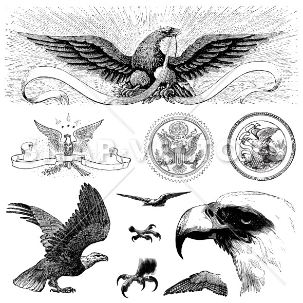 Eagle Clip Art Black and White Vintage