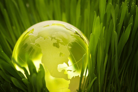 Earth Sustainability