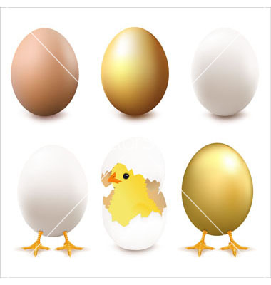 Egg Vector