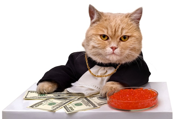 Fat Cat Money