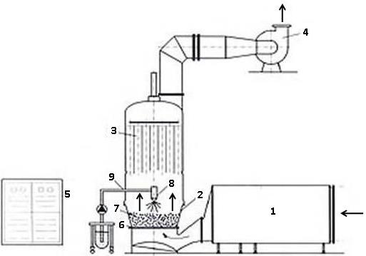 Fluidized Bed Dryer