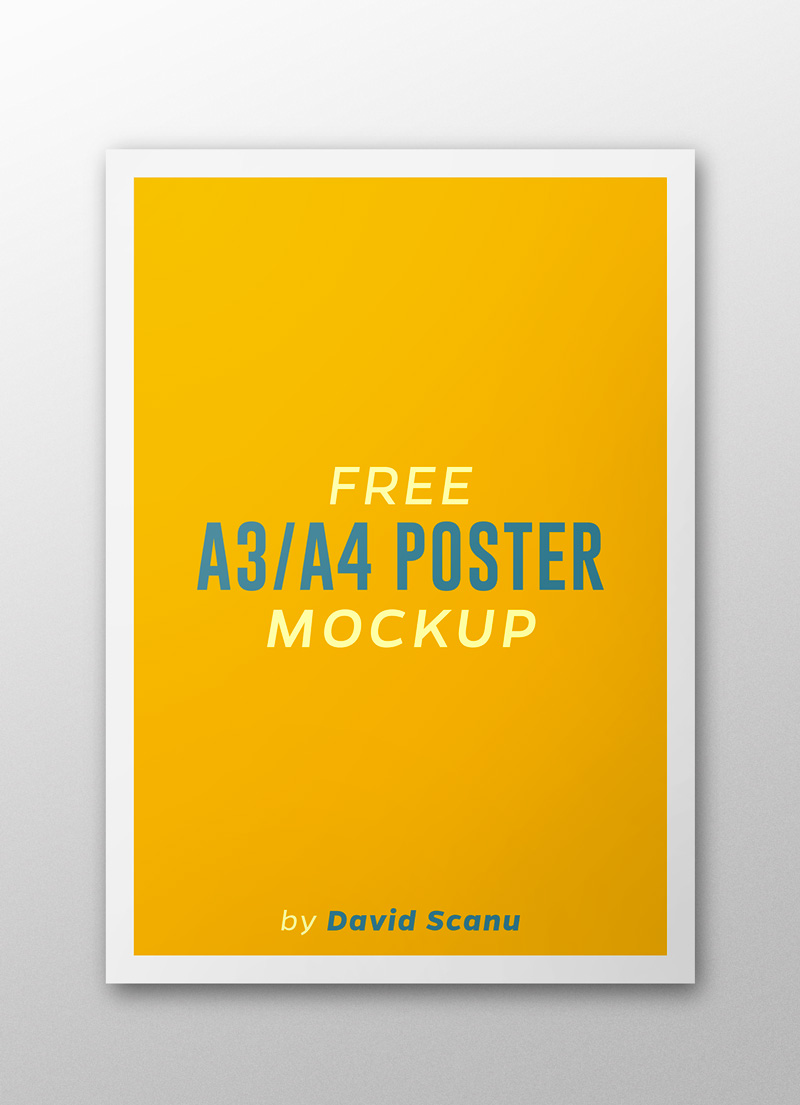 16 Stnading Flyer Template PSD Mock Up Images