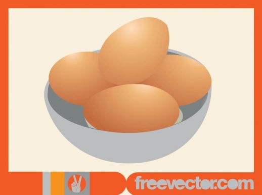 Free Vector Chicken Egg