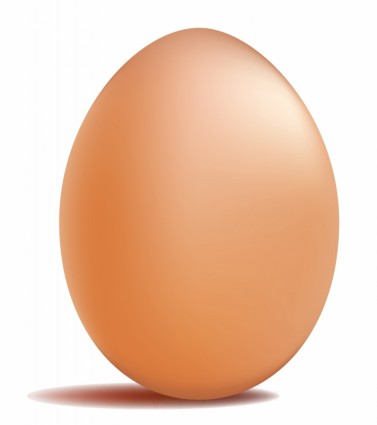 Free Vector Eggs