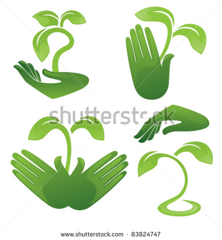 Growing Plant Vector