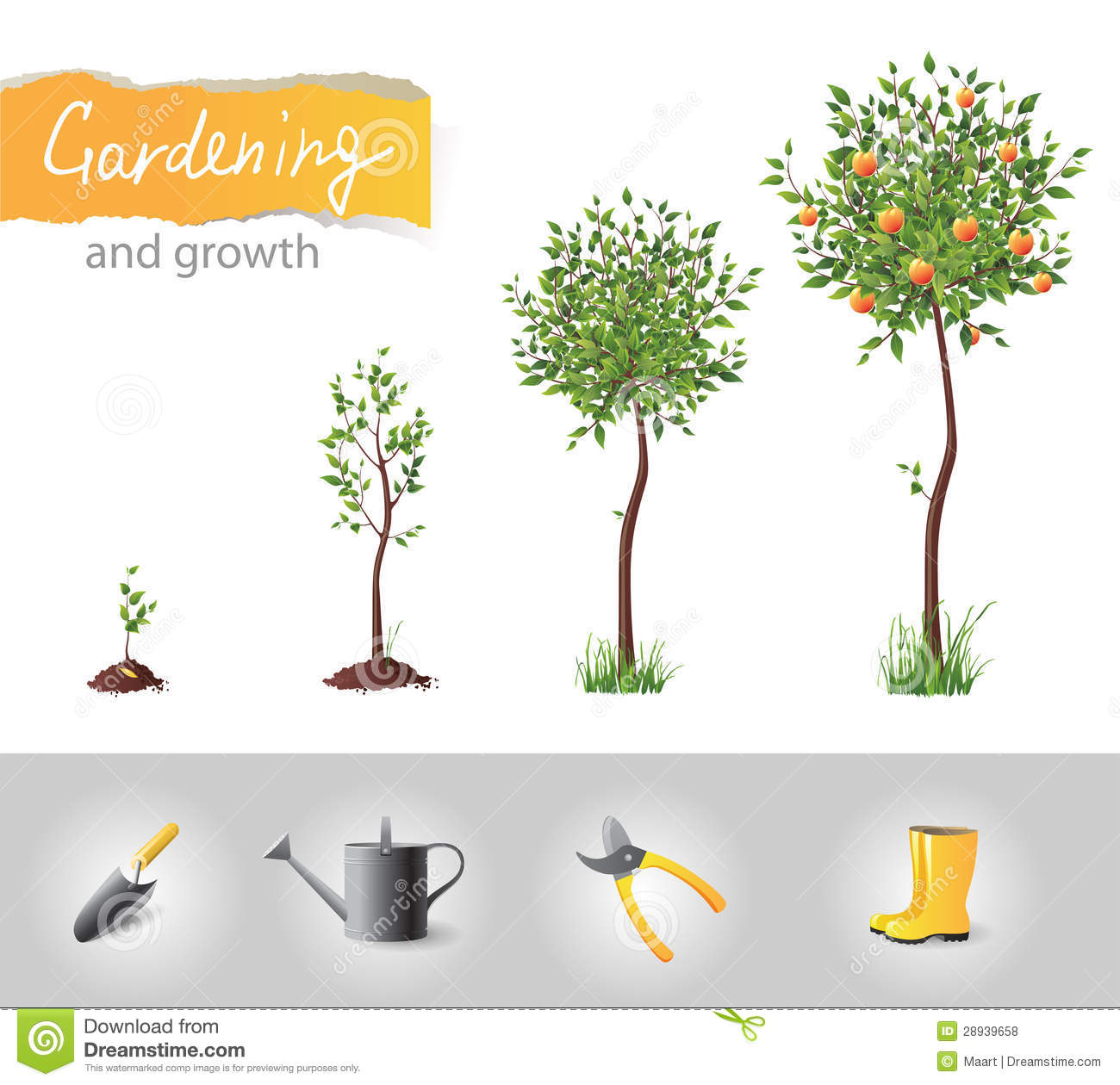 Growing Tree Free Stock Photos