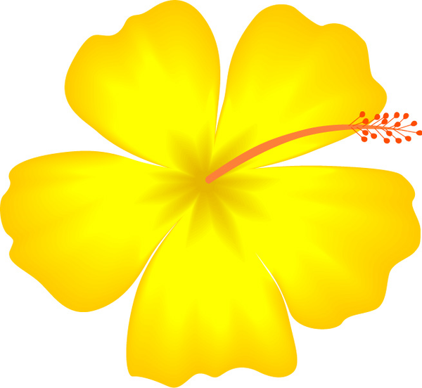 Hawaii State Flower Clip Art