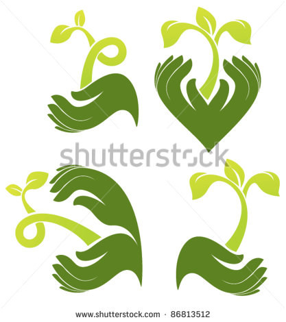 Image of Plant Growing in Human Hand