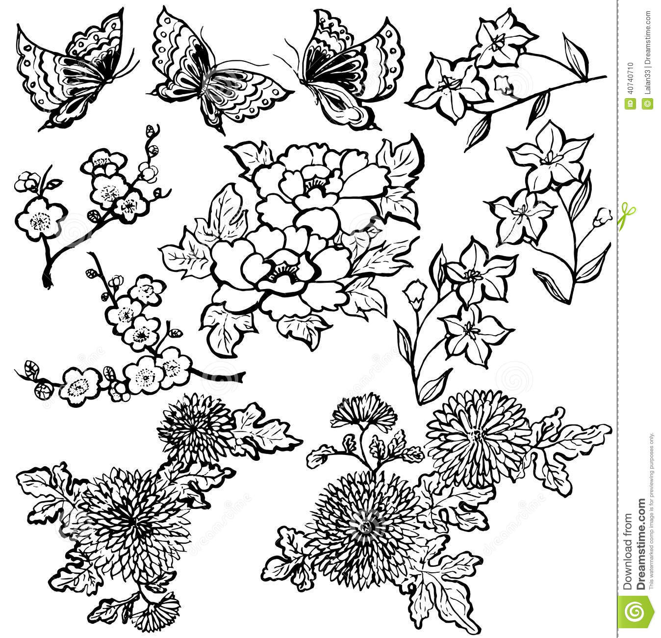 Japanese Flower Vector Illustration