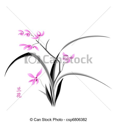 Japanese Orchid Drawing