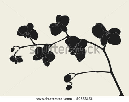 Orchid Branch Silhouette Vector Stock