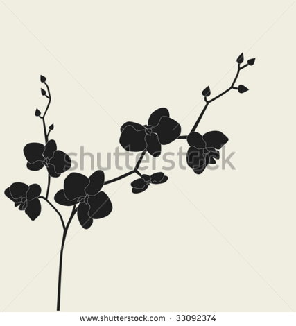 Orchid Branch Silhouette Vector Stock