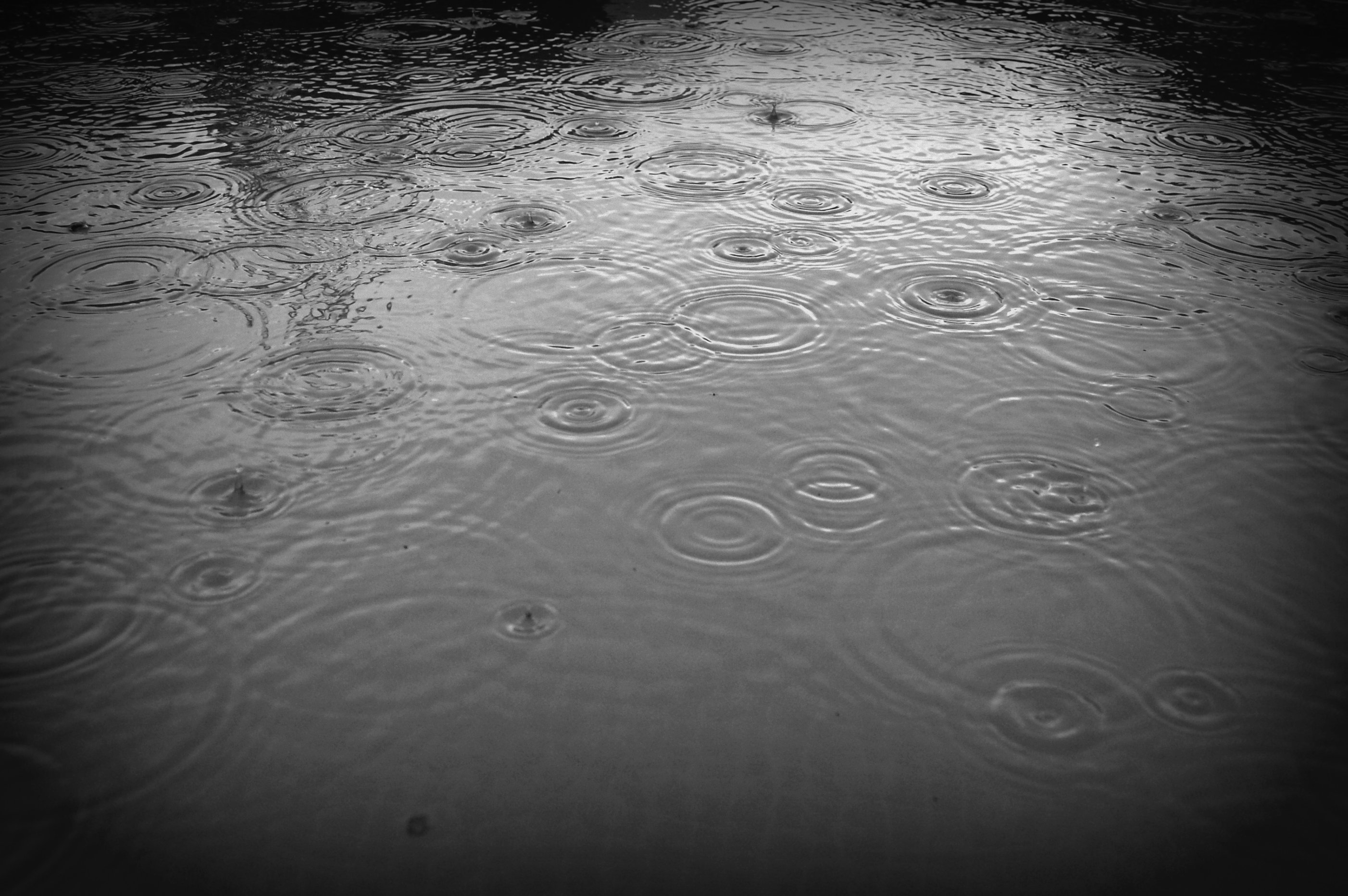 Pictures of Ponds and Rain