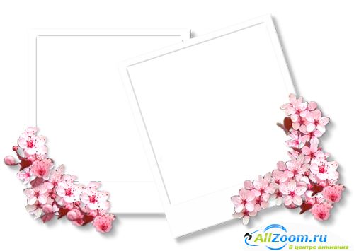 PSD Photoshop Frames