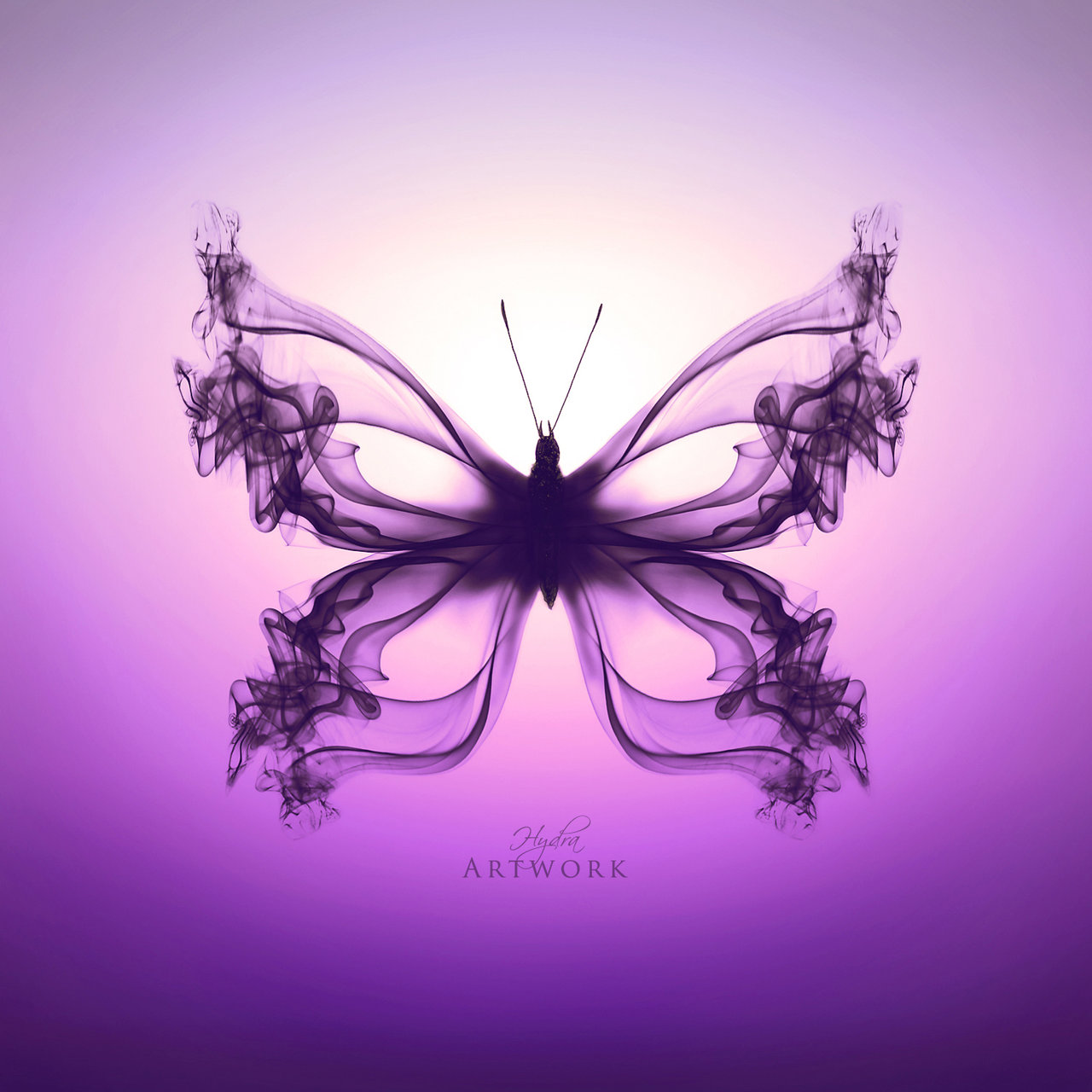 Purple Butterfly Art