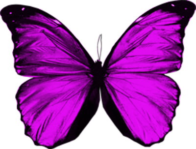 Purple Butterfly