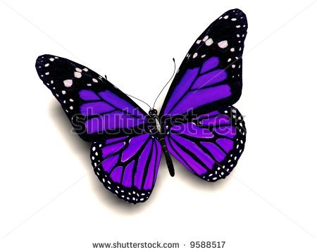 Purple Monarch Butterfly Tattoo