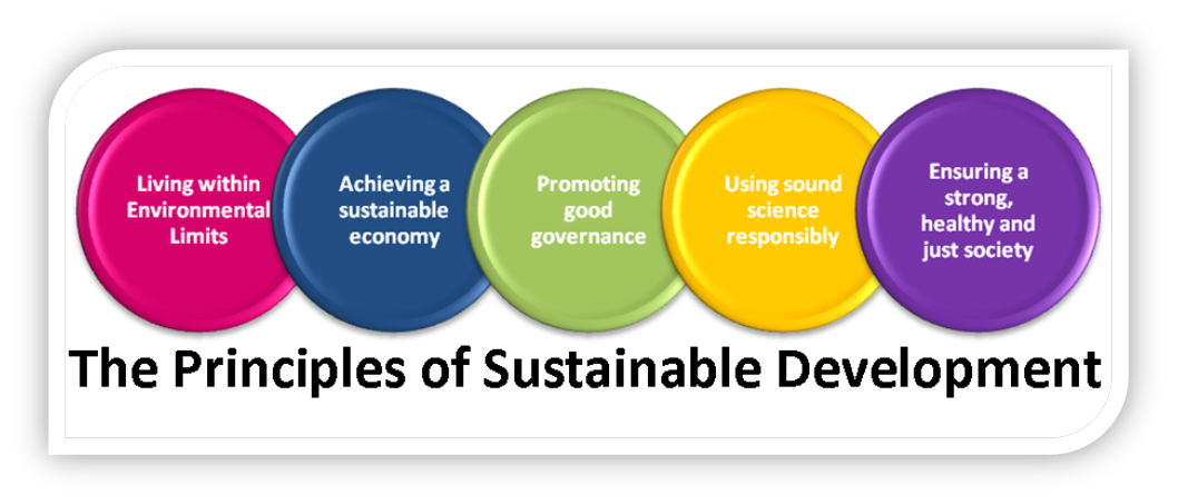 Sustainability Sustainable Development