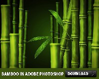 Adobe Photoshop PSD Files Free Download