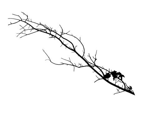 Tree Branch Silhouette Vector