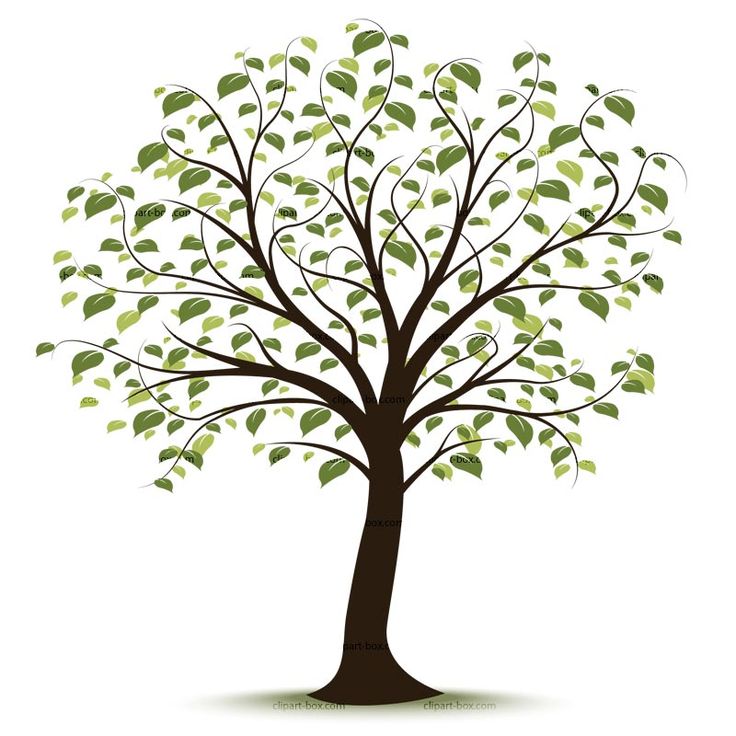 Tree Clip Art Free