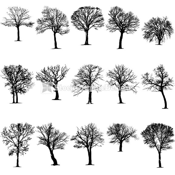 Tree Silhouette Vector