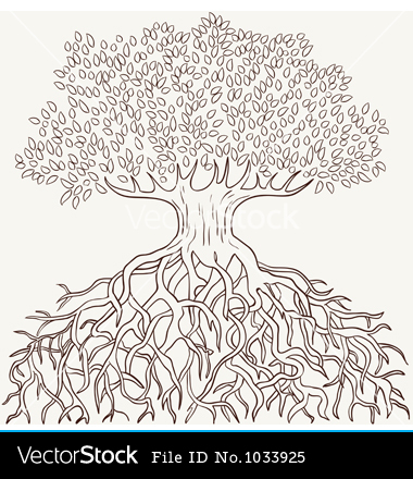 Tree with Roots Drawing Vector