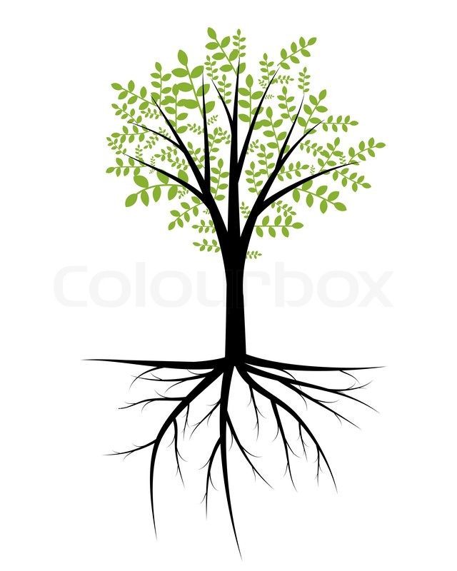 Tree with Roots Vector