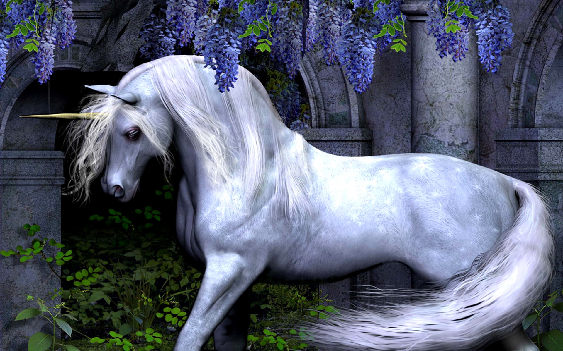 Unicorn Desktop Unicorn Desktop
