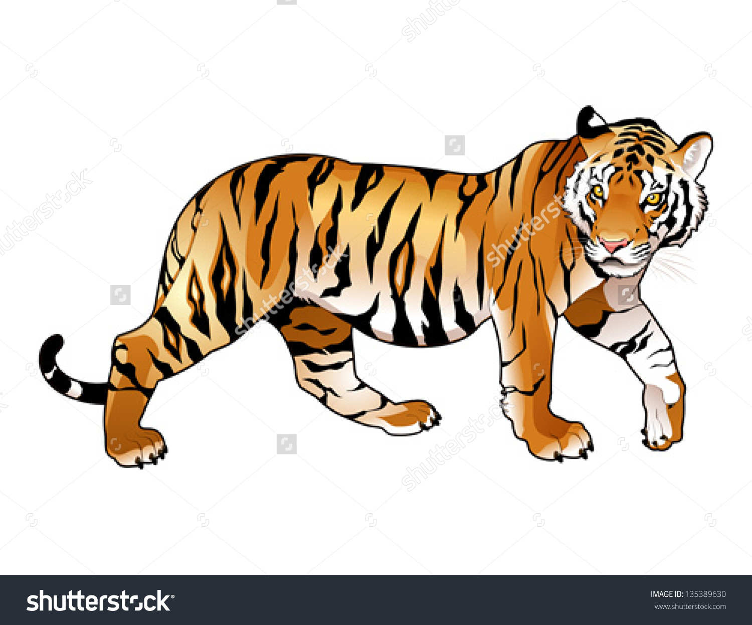 Vector Cartoon Tiger