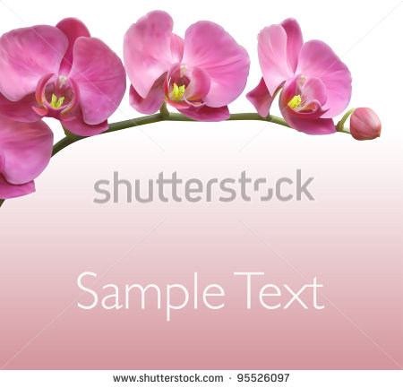 Vector Orchid Flower