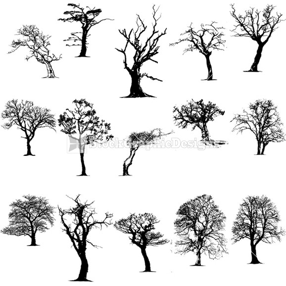 Vector Tree Silhouettes Clip Art