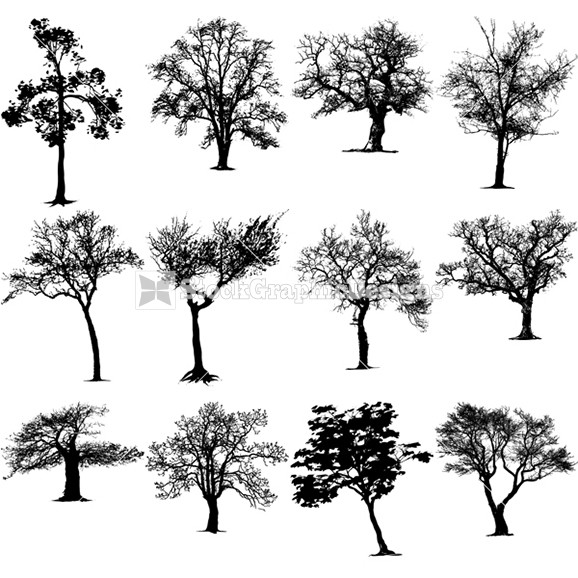 Vector Tree Silhouettes Clip Art