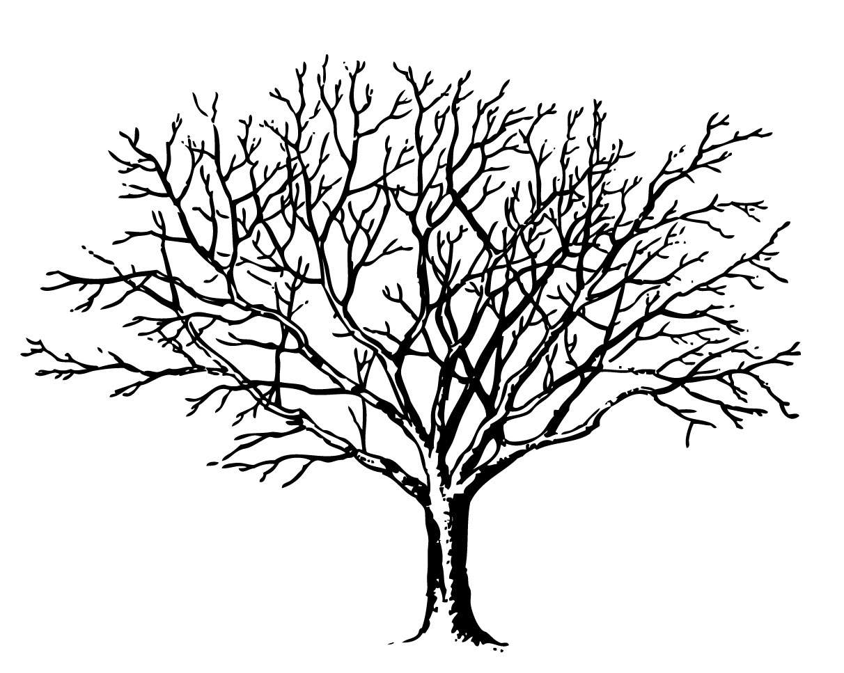 Vintage Tree Clip Art