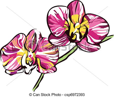 Yellow Orchid Clip Art