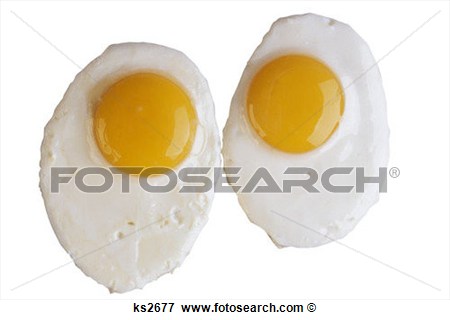 Are Eggs Dairy Food Group