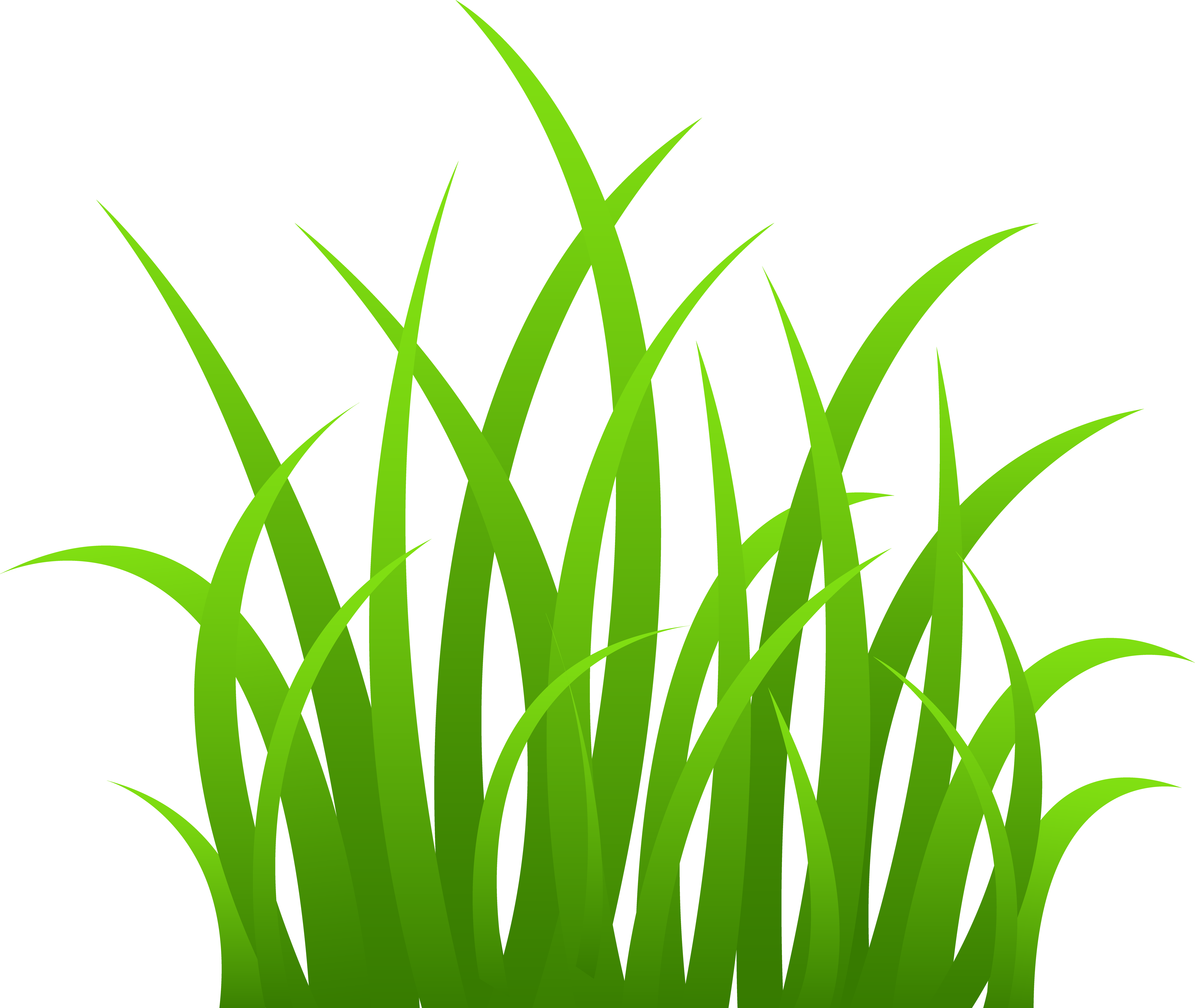 9 Tall Grass Vector Art PNG Images
