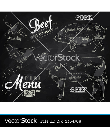 Chalk Drawing of Beef Cuts of Meat