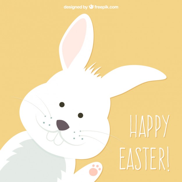 Cute Easter Bunny Card