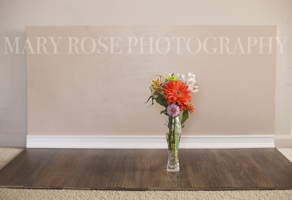 DIY Photography Backdrop Wood Floor