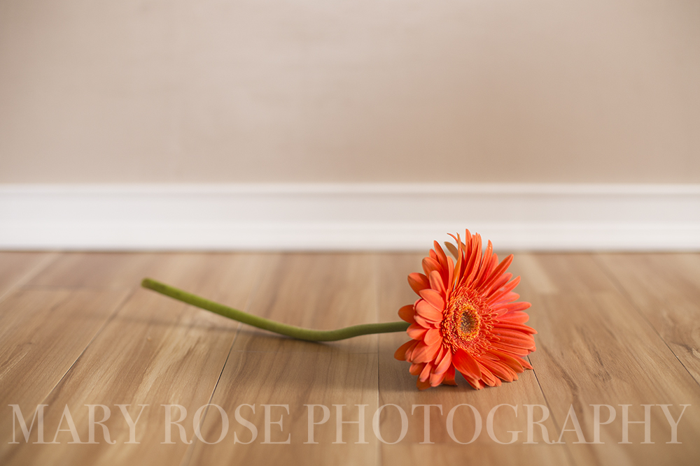 DIY Photography Backdrop Wood Floor