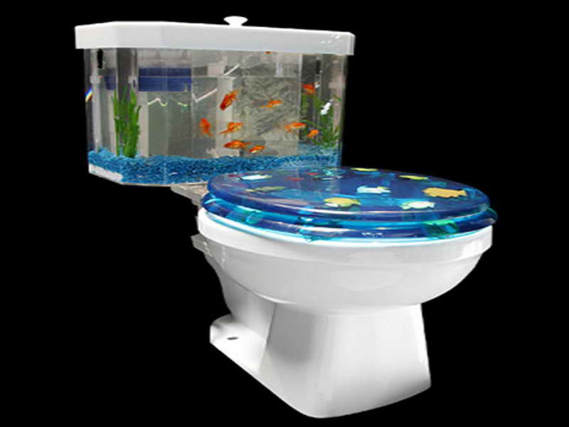 Fish Tank Decorations Ideas