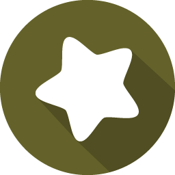 Flat Star Icon