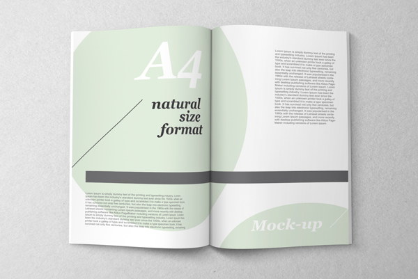 Free Magazine Mock UPS PSD