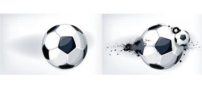 Free Vector Soccer Ball