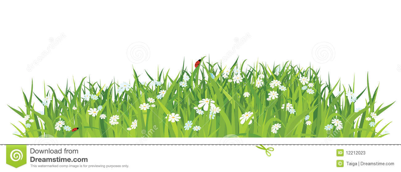 Grass and Flowers On White Background