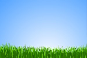 Grass Background